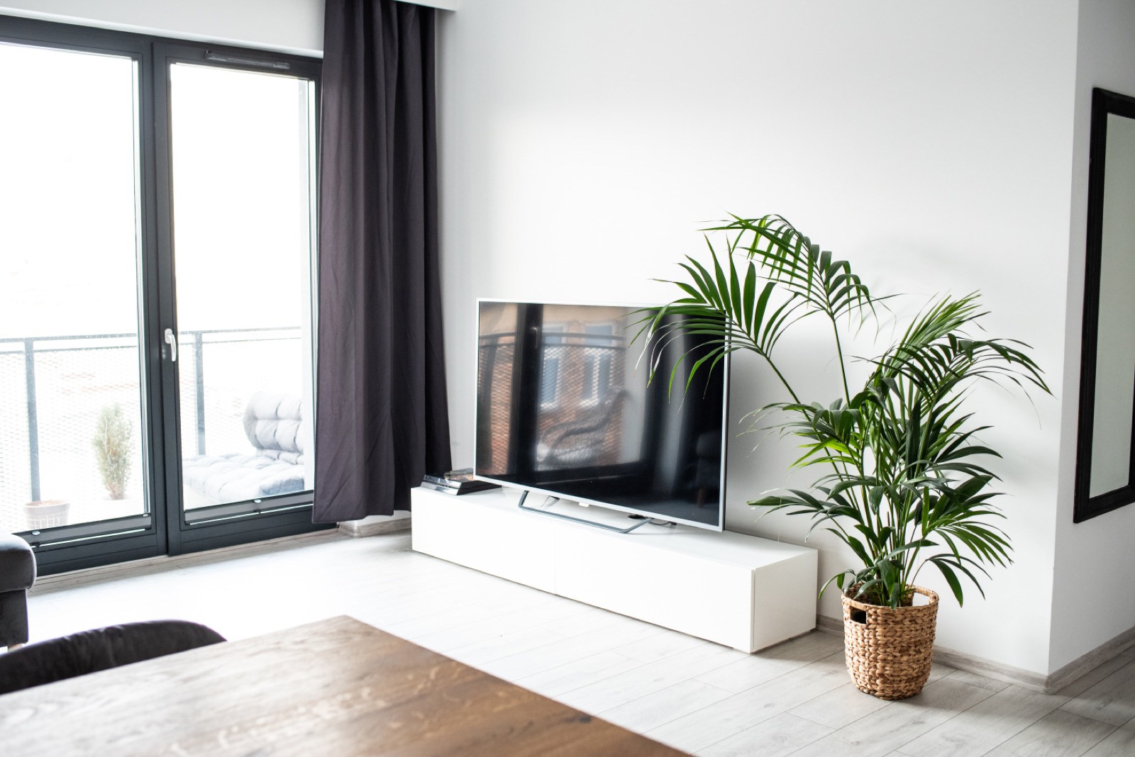 Salon – szafka TV, rośliny, wyjście na balkon